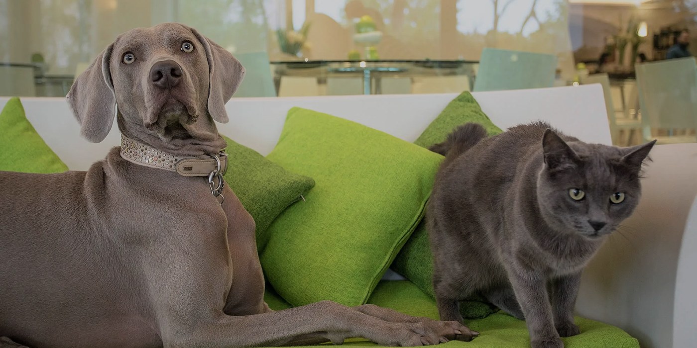 Hotel Principe Rimini