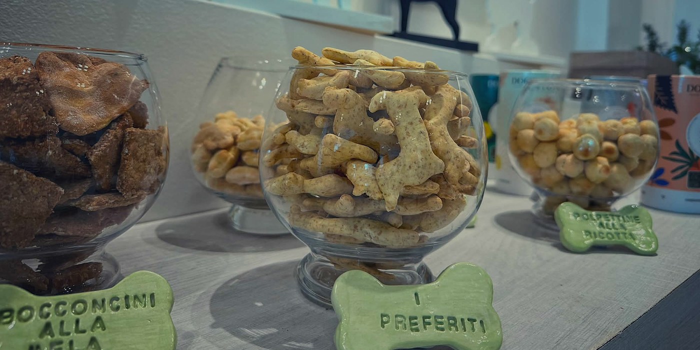 Hotel per cani Rimini | Pet lovers Hotel Rimini