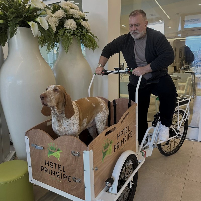 Cargo bike per cani