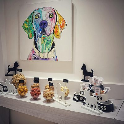 Cibo per cani
