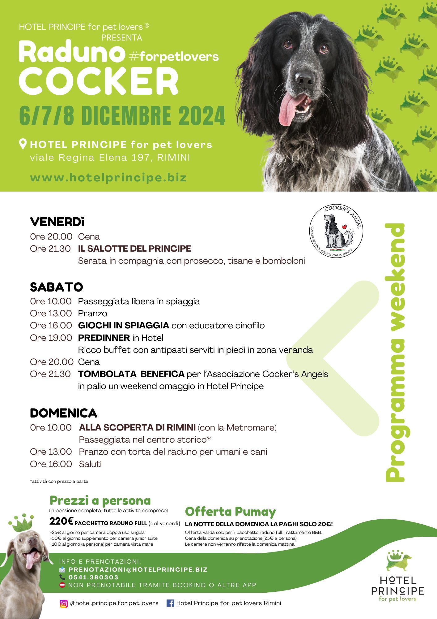 Raduno Cocker 2024 a Rimini