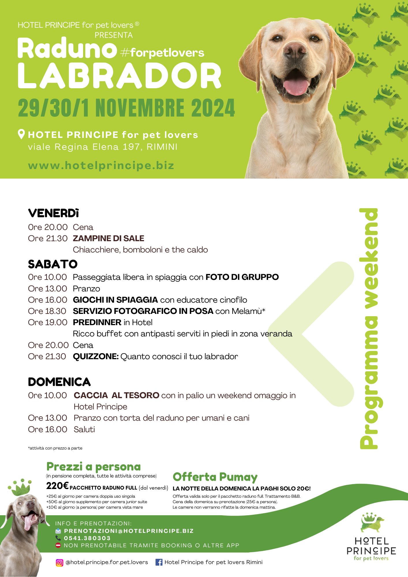 Raduno Labrador 2024 a Rimini