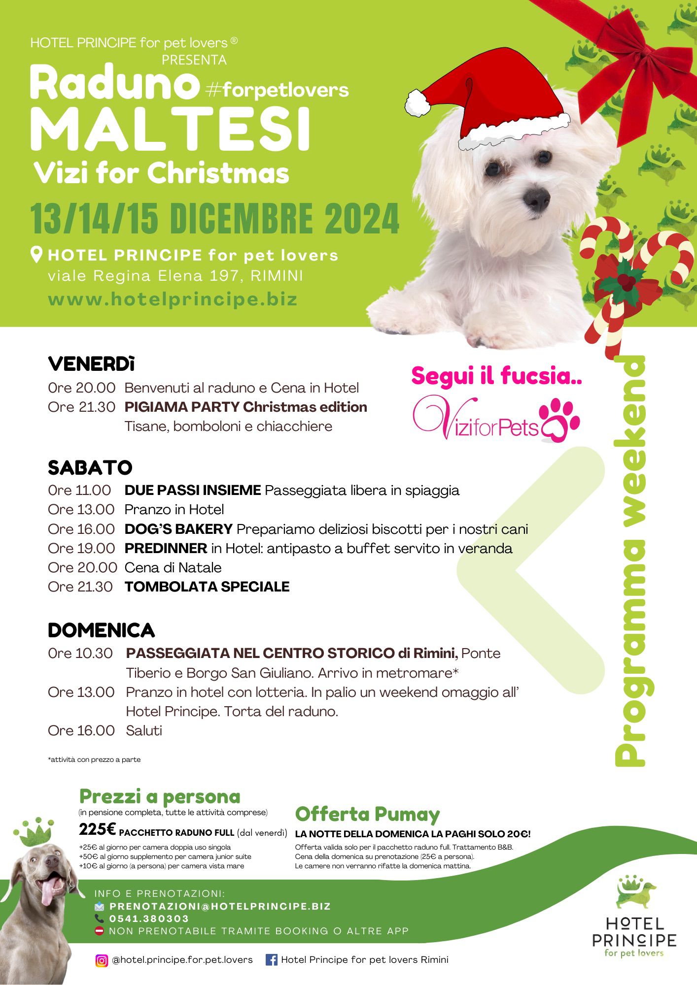 Raduno Maltesi 2024 a Rimini