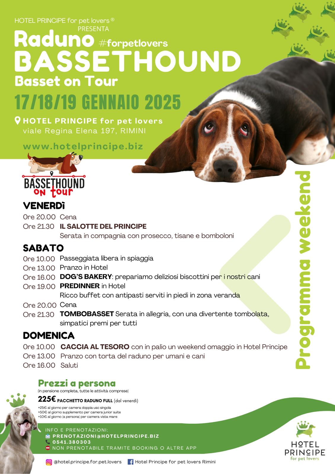 Raduno Basset Hound 2025 a Rimini
