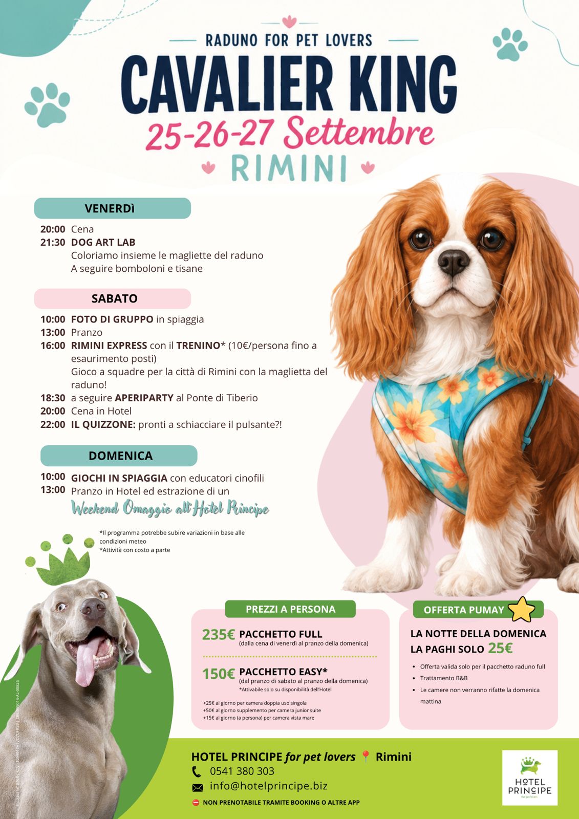 Raduno Cavalier King