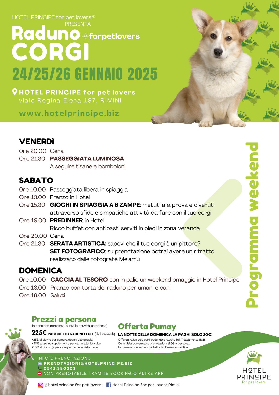 Raduno Corgi 2025 a Rimini