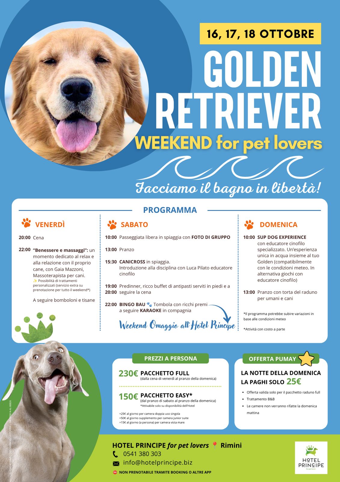Golden Retriever Weekend