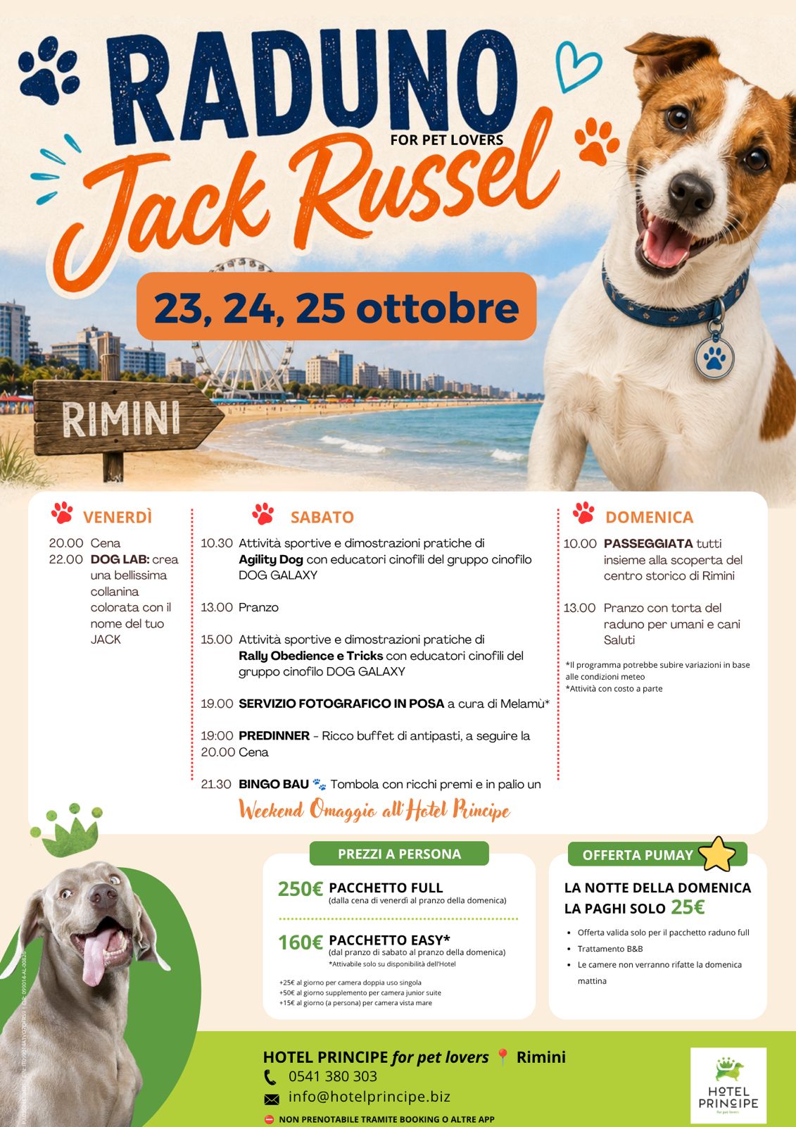 Raduno Jack Russell
