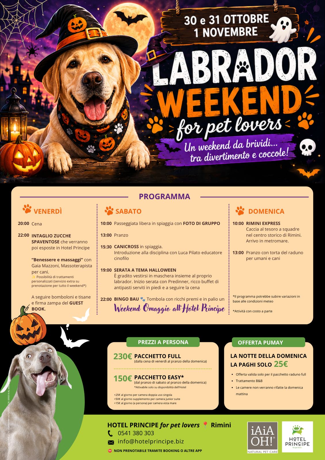 Labrador Weekend