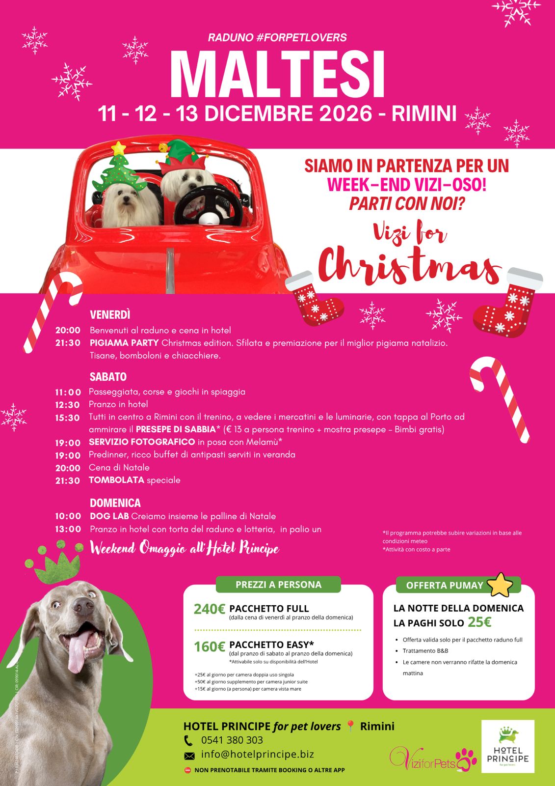 Raduno Maltesi – Vizi for Christmas