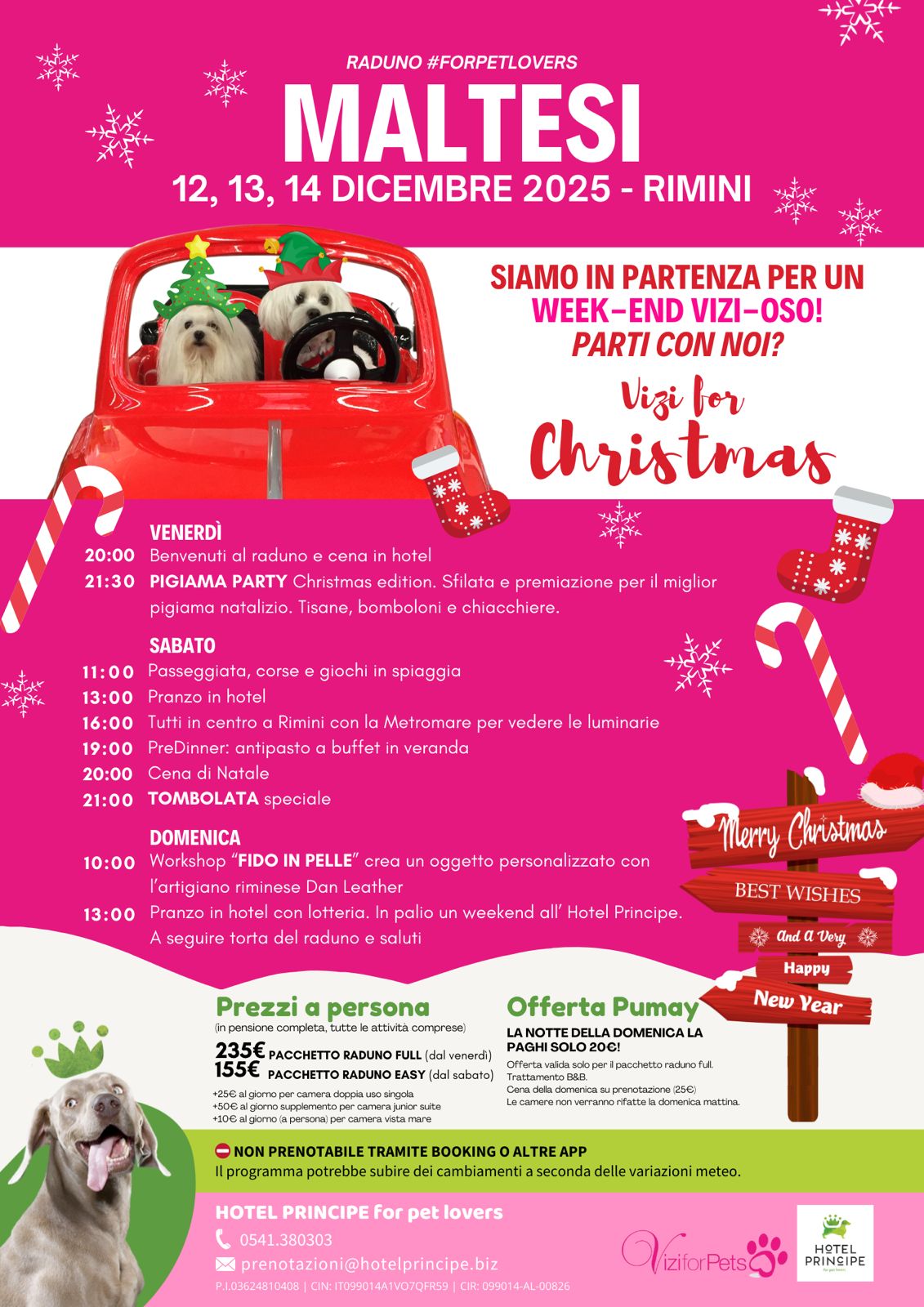 Raduno Maltesi -  Vizi for Christmas 