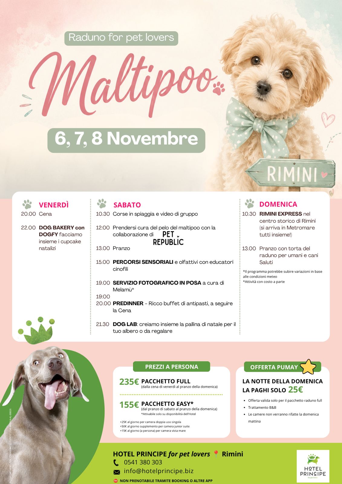 Raduno Maltipoo