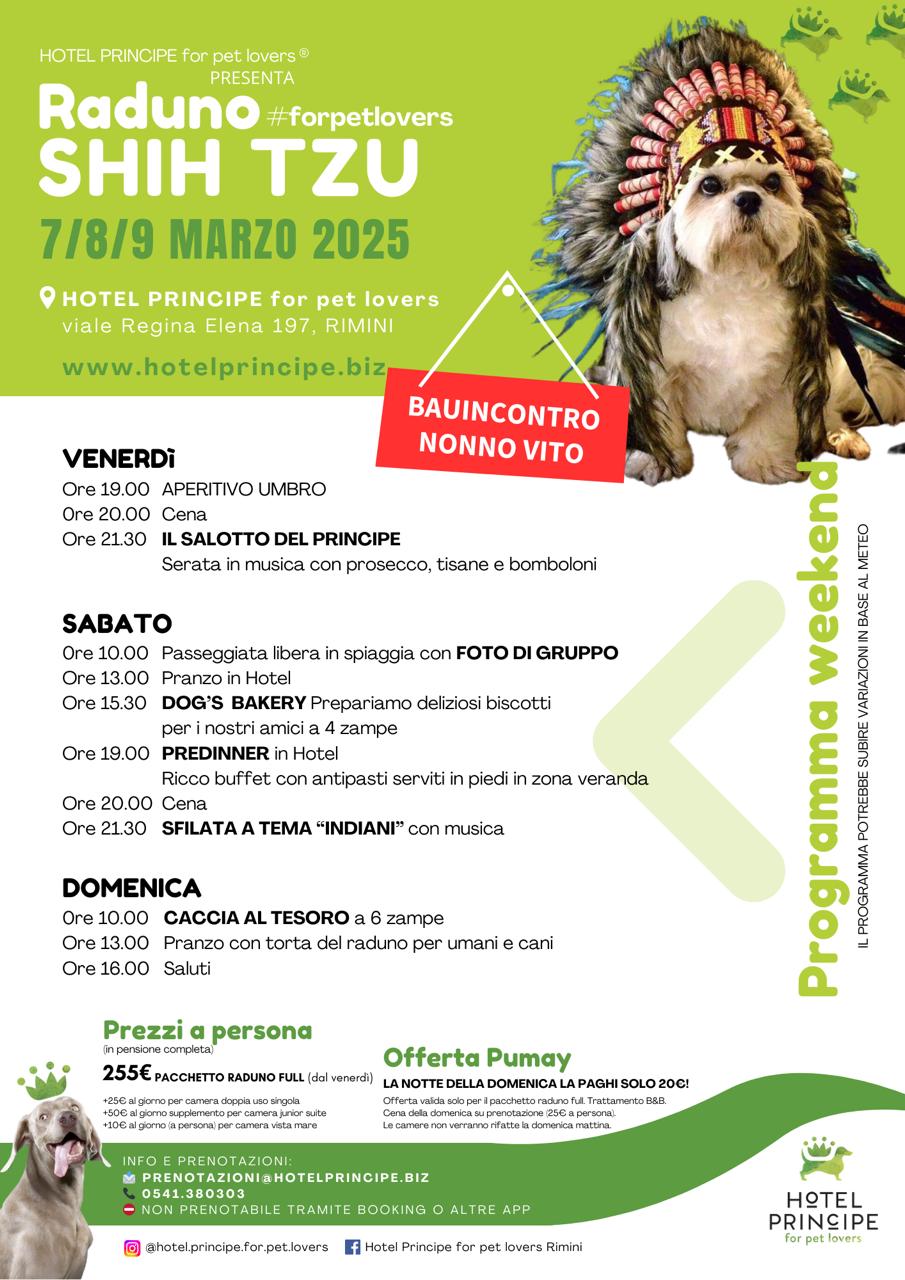 Raduno Shih Tzu 2025 a Rimini