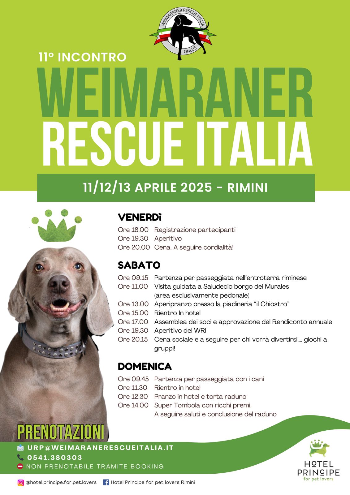 Raduno Weimaraner a Rimini