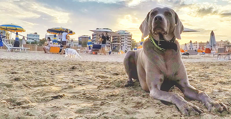 vacanze al mare in luglio