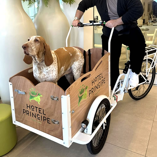 Servizi per Pet: la Cargo Bike