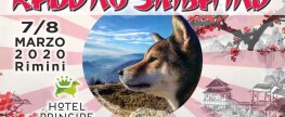Raduno SHIBA INU 7/8 marzo 2020
