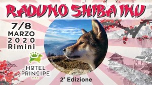shiba